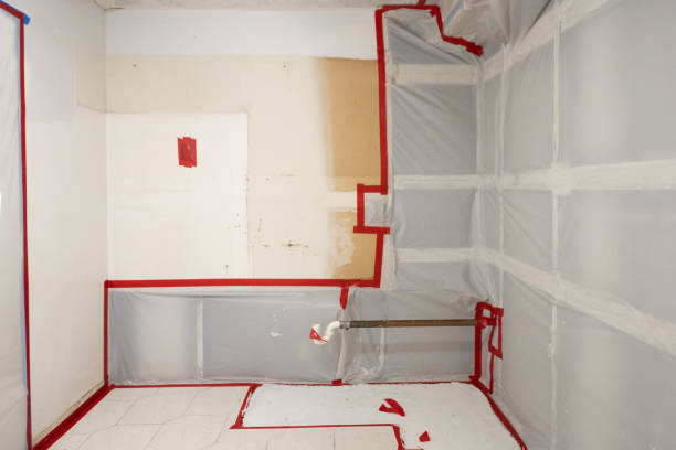 Best Mold Removal for HVAC Installations  in Poipu, HI