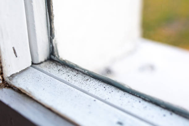 Best Real Estate Mold Inspection  in Poipu, HI