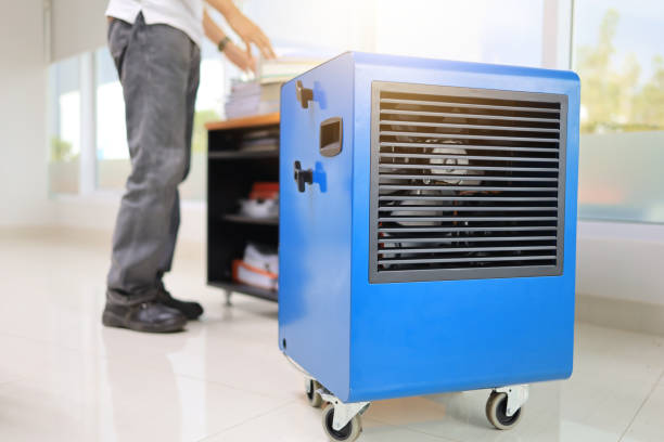 Trusted Poipu, HI Mold Removal Experts