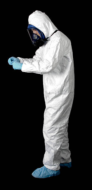 Best Black Mold Removal  in Poipu, HI